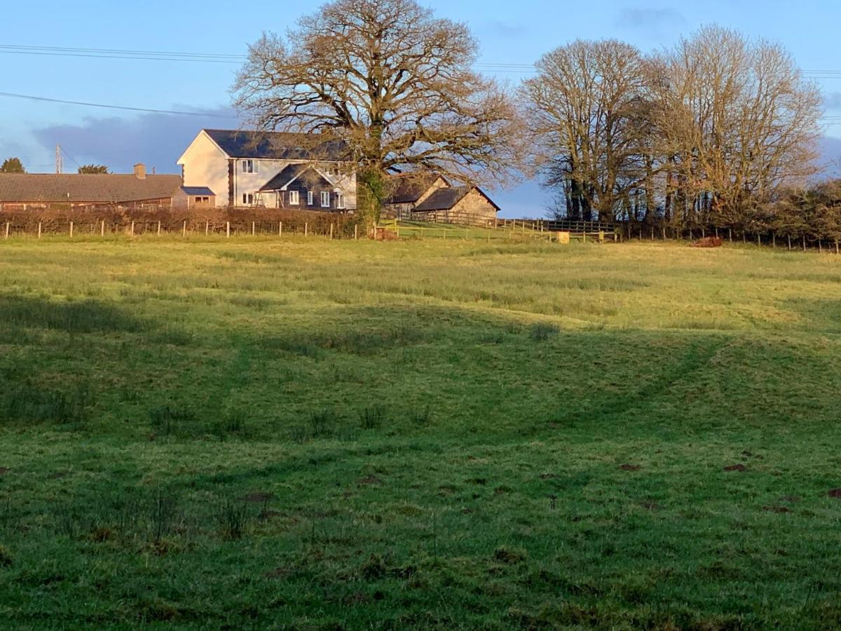 Villa Maen Llwyd Llanyre Exterior foto